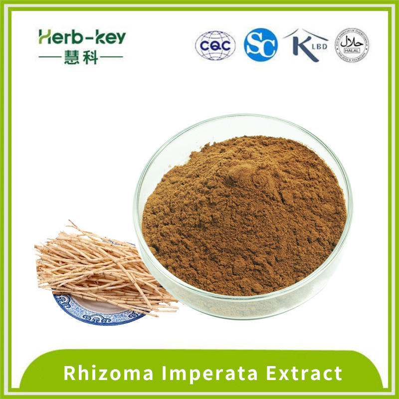 20:1 Plant Rhizoma Imperata Extract powder