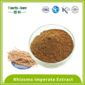 10: 1 poudre d'extrait Rhizoma Imperata