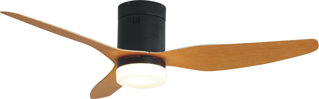 Led ceiling fan with remote