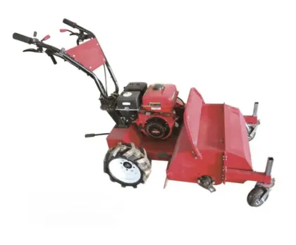 Two/Four Wheel Drive Micro Tiller