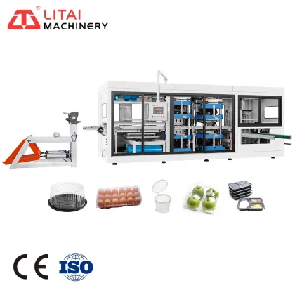 Trade and Information on Mini Vacuum Thermoform PP Prep Machines for Plastic Disposable Fruit Trays