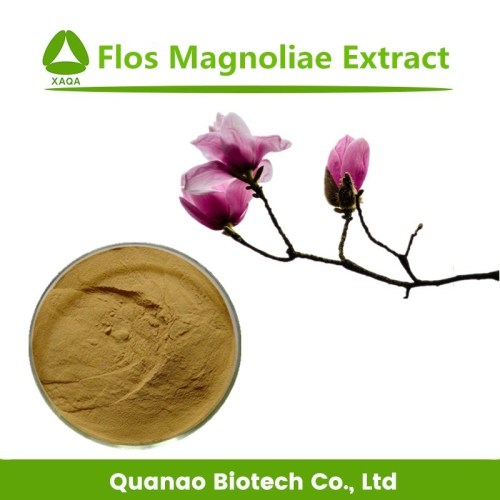 Dexamethasone 99% Flos Magnoliae/ Magnolia/ Liliflorae Extract Flower Powder Factory