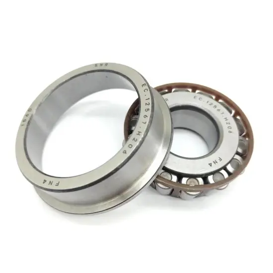 Cylindrical Roller Bearing Supplier: EC.12567.H206 Automobile Bearing
