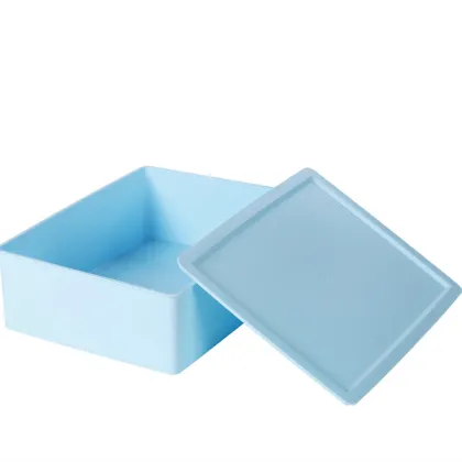 Plastic Bra Organizer Storage Box