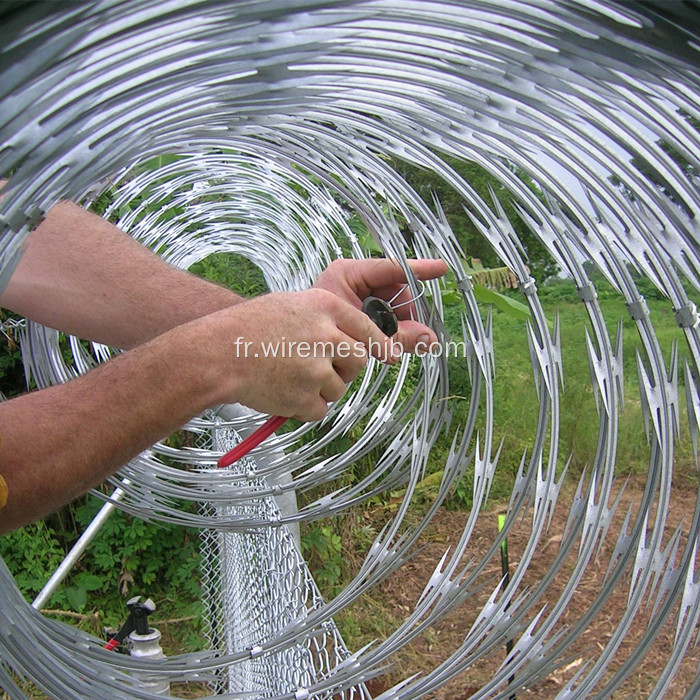Barrière galvanisée de fil de concertina de rasoir