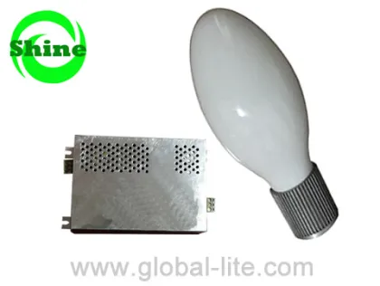(SLH) Global Induction Lamp