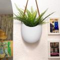 Unglazed Ceramic Air Plant Holder Indoor