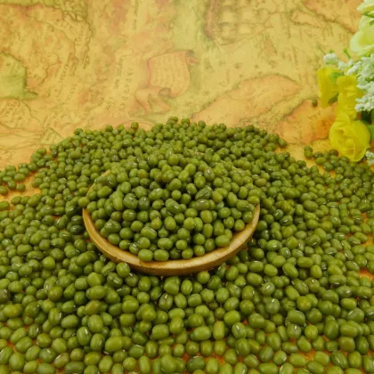 Organic Dried Green Mung Beans