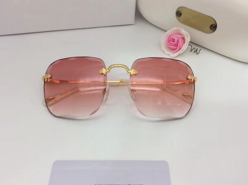 Classic Square Sunglasses