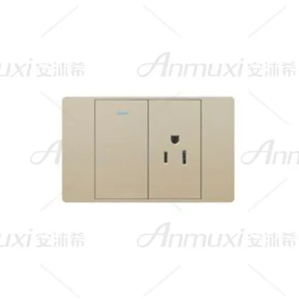 Electric One Switch Gang Socket