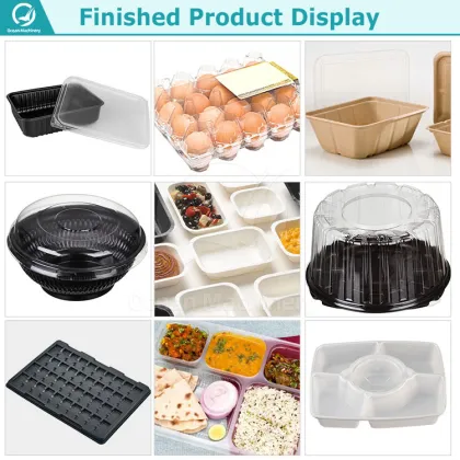 Ocean Plastic Egg Tray and Disposable Cup Making Machine Price