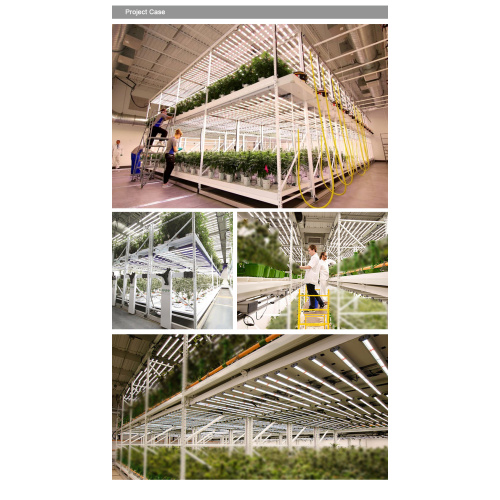 640w Led Grow Light UV IR
