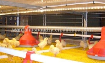design layer chicken cages for Africa poultry farm