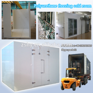 Polyurethane freezing cold room