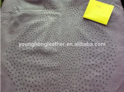 Ostrich skin leather