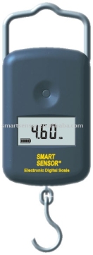Digital Scale AR855