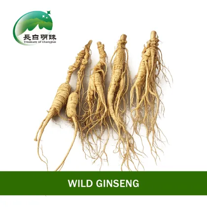 Fine Selected High Grade Ginseng