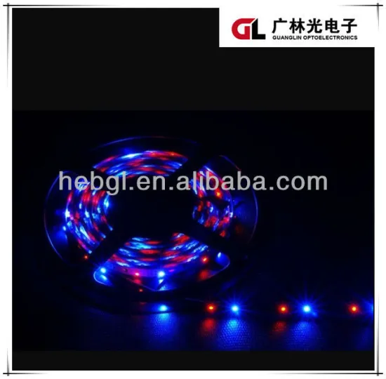 RGB LED Decorative Light DC 12V/AC220V Power Supply