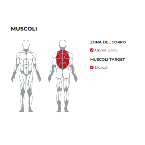 Low Row Professional Gym Equipment