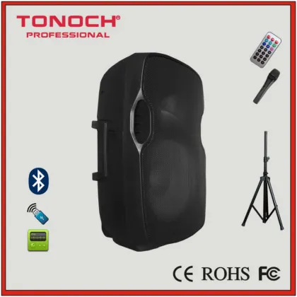 Pro Audio 8" Karaoke Active Speaker