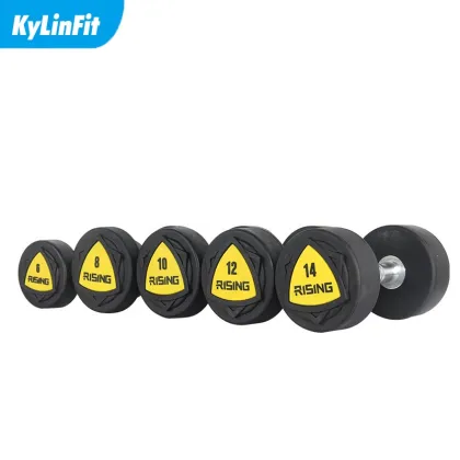 Kylinfit Gym Equipment Round Pro Style Dumbbell Set - Prices and Weights
