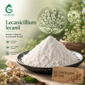 Lecanicillium Lecanii مكون فطري ممرض للحشرات