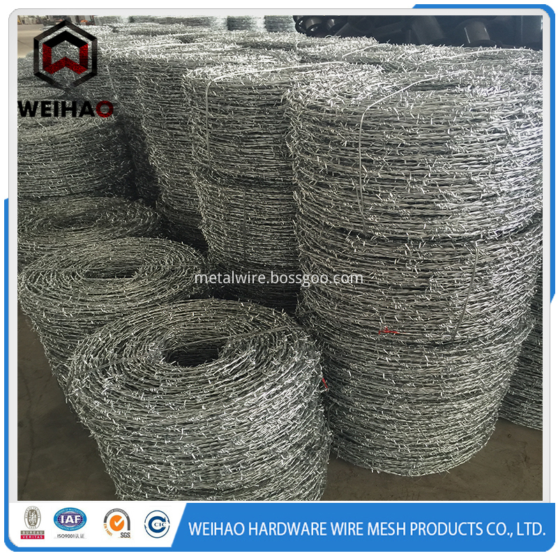 Bwg16 Barbed Wire For Salee Strand