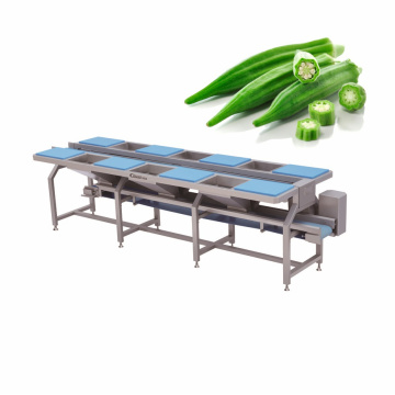 Industrial Prep Station for Fruit and Vegetable