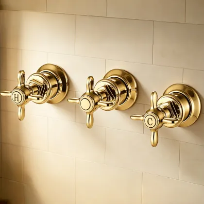 Shower Combination with Head & Hand Shower