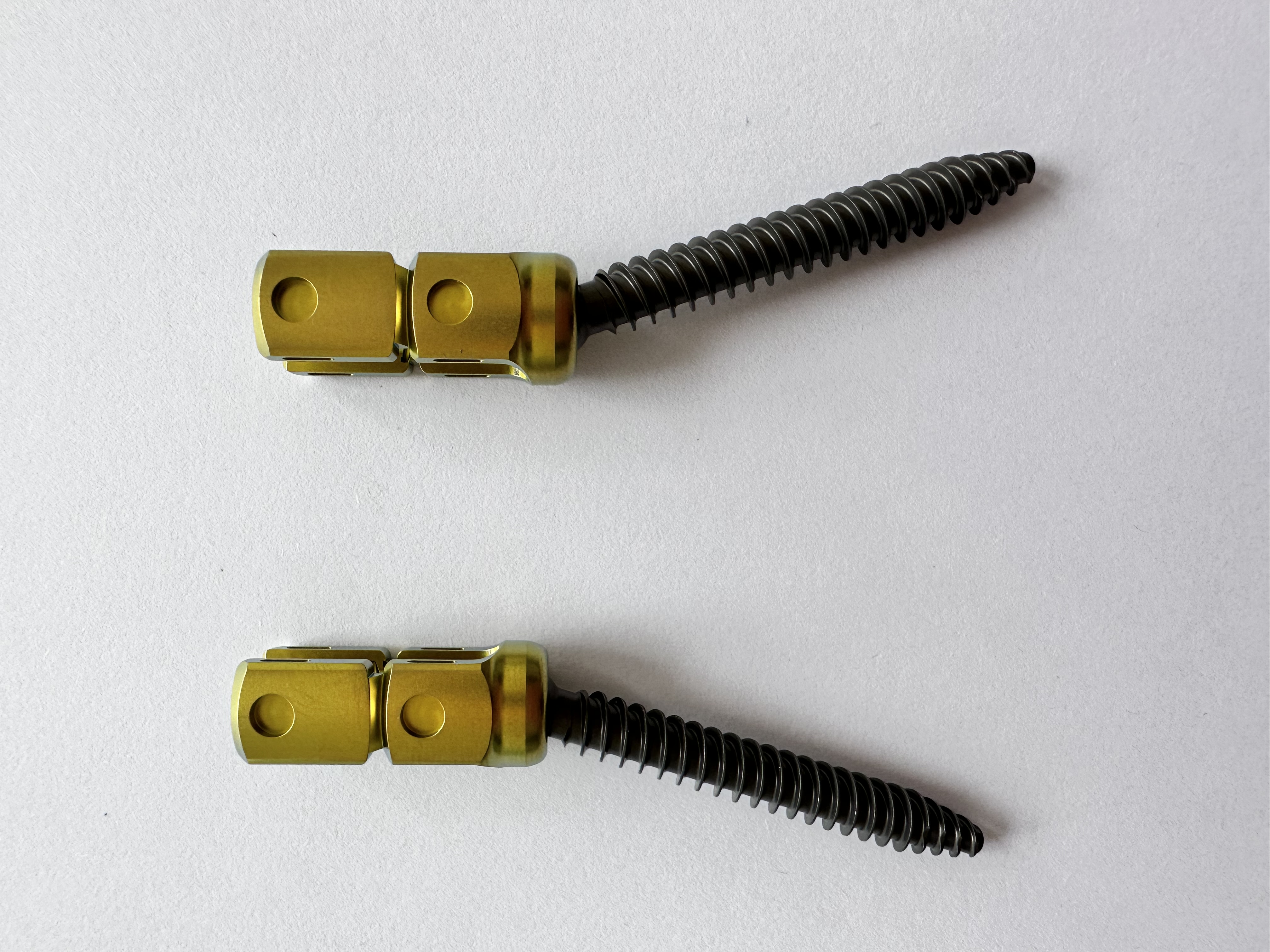 Thoracic-lumbar Vertebra Pedicle Screw