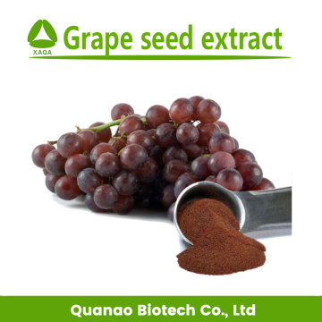 Grape Seed Extract Powder Procyanidin OPC 95% 4852-22-6