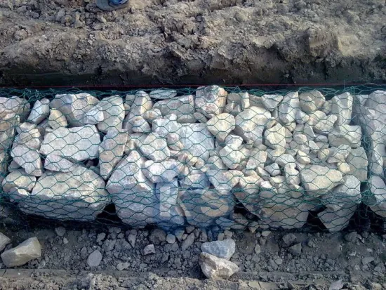 Double Twisted Hexagonal Mesh Polyethylene Coated Wire Pe Coated Gabion Mesh Box