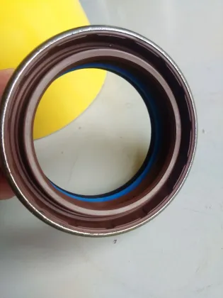 DMHUI Factory Directly Supplies COMBI SF19 Type 12036965B FPM Oil Seal for 370815