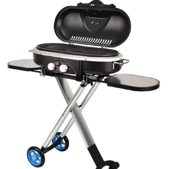 Folding Camping Mini Outdoor Kitchen 2 Burner BBQ Gas Grill