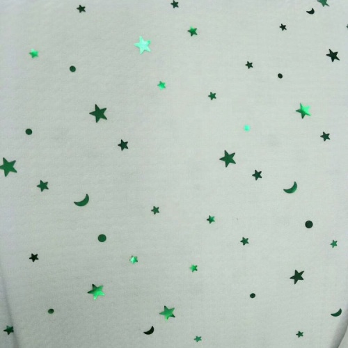 Sequin Fabric