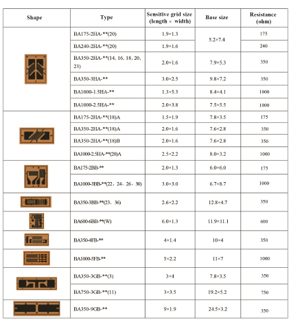 Technical Data of Double Axle Strain Gauge