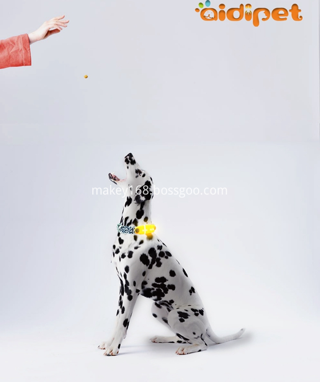 Nylon Lighted-Up Dog Collar