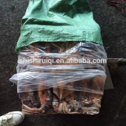 Frozen argentina squid illex squid jigger squid whole round