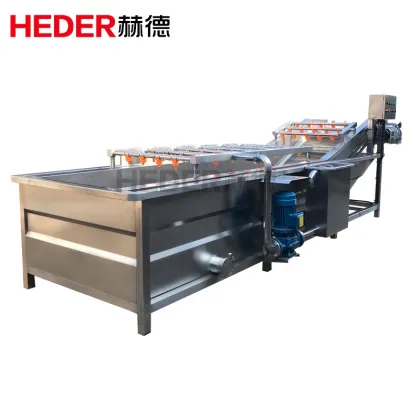 High Pressure Fresh Ginger Washing Machine Price
