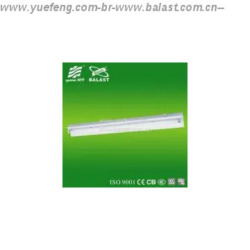 ceiling mounted fluorescent tube lights