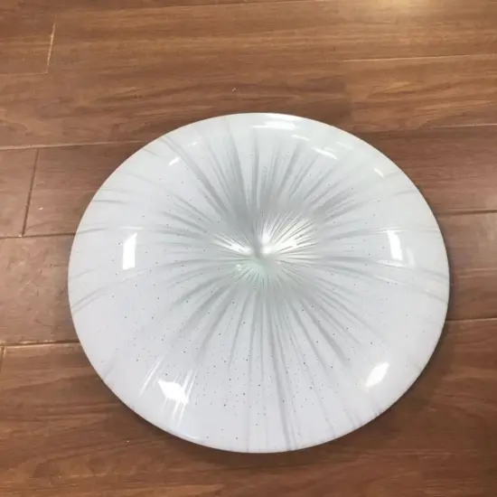 Morden LED Ceiling Lamp