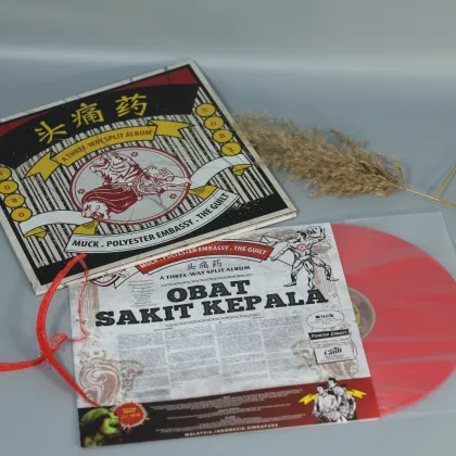 Music Vinyl Manufacturers: Custom 12'' Record LP Pressing