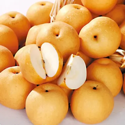 new crop fengshui pears