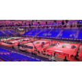 ITTF-zertifizierter PVC-Boden Tischtennis-Sportboden