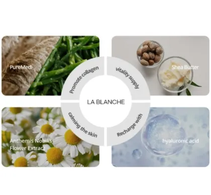 High Performance Moisturizing Skincare Cream