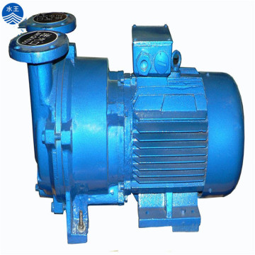 2BV5110 Vacuum Distillation Ring Vacuum Pump