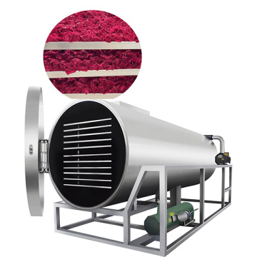 Fruit and Vegetable Vacuum Lyophilizer