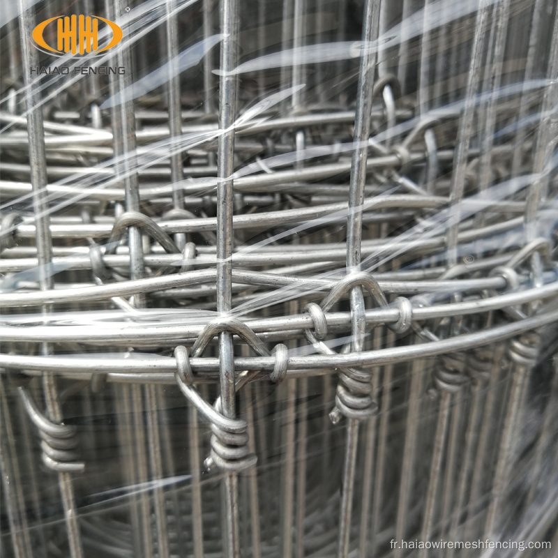 clôture à mailles de fil à nœuds fixe