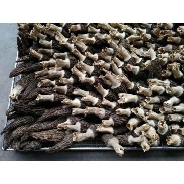 Edible fungus Heat pump air drying