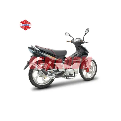 Wholesale Hot Selling Gasoline Cruiser Motorcycles